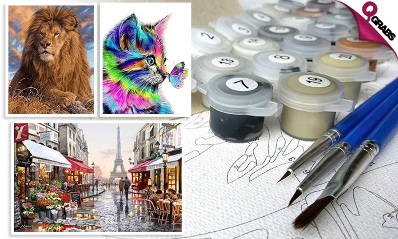 Painting by Numbers Kit!